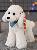 Teddy dog plush toy poodle doll,SooSweetShop.ca