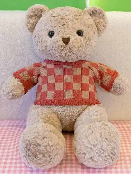 Classic Retro Sweater Hug Teddy Bear Plush Toy, Canadian Online Candy and Stuffed Animal Shop, SooSweet Shop DBA Sweet Factory