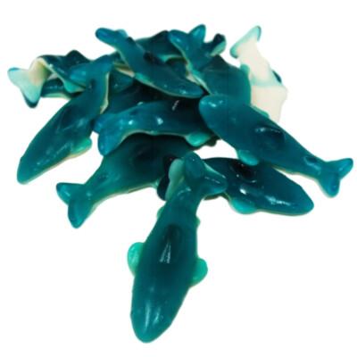 Giant Gummy Blue Sharks,SooSweetShop.ca