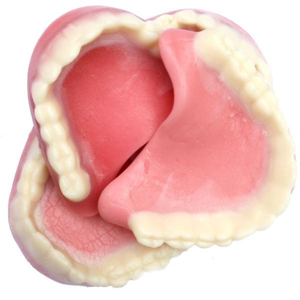 Kingsway Gummy Dentures, Canadian Online Candy and Stuffed Animal Shop, SooSweet Shop DBA Sweet Factory
