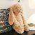 Super Soft Shy Rabbit Princess Plush Toy,SooSweetShop.ca