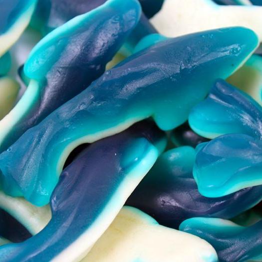 Gummy Blue Sharks,SooSweetShop.ca