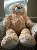 Jumbo Light Brown Teddy Bear 53 Inches with Free shipping,SooSweetShop.ca