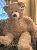 Jumbo Brown Teddy Bear 53 Inch  free shipping,SooSweetShop.ca