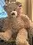 Jumbo Brown Teddy Bear 53 Inches with  Free shipping,SooSweetShop.ca