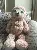 Big Size Sloth Plush Toy 40 Inch,SooSweetShop.ca