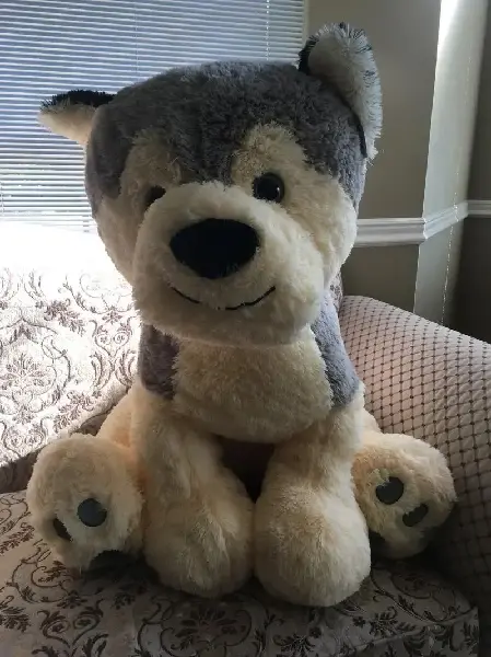 Jumbo Sitting Husky  dog 32 Inch high, Canadian Online Candy and Stuffed Animal Shop, SooSweet Shop DBA Sweet Factory