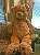 Jumbo Brown Teddy Bear 72 Inches  with Free shipping,SooSweetShop.ca