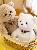 Cute Little Teddy Bear Plush Doll Toy for Valentine's Day or Birthday Gift 28cm,SooSweetShop.ca