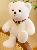 Cute Little Teddy Bear Plush Doll Toy for Valentine's Day or Birthday Gift 28cm,SooSweetShop.ca
